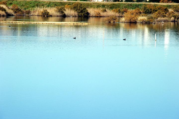 1Saline di Priolo 16.1.2011 (10).jpg